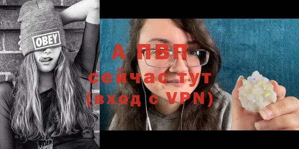 прущий лед Горняк